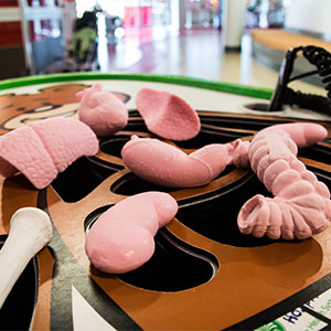 silicone organs for life size Operation game
